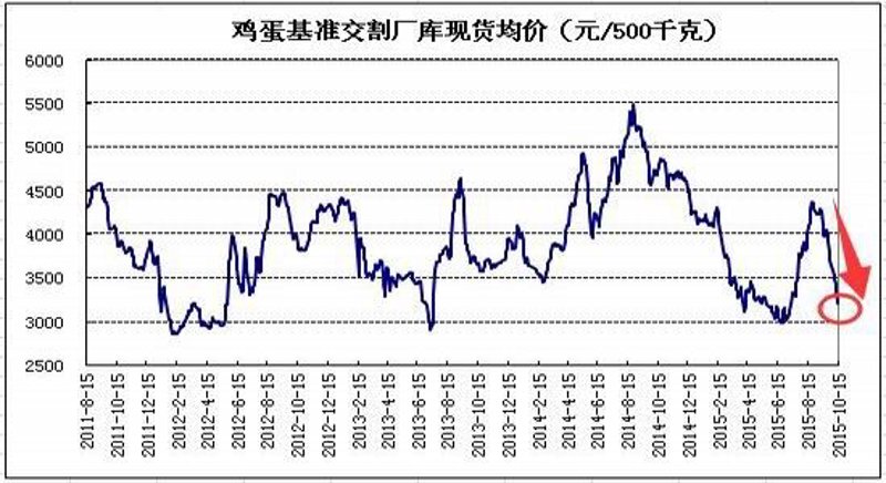 鸡蛋市场的信息枢纽:鸡蛋信息平台崛起