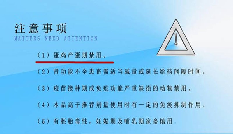 鸡蛋信息平台：引领农业信息化新趋势