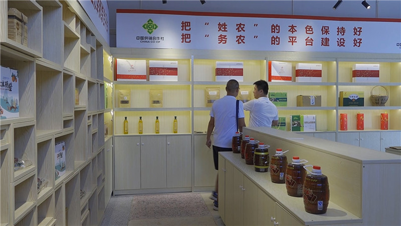鸡蛋交割市场：行业的深度透视与机遇探析